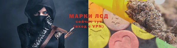 гашик Арсеньев