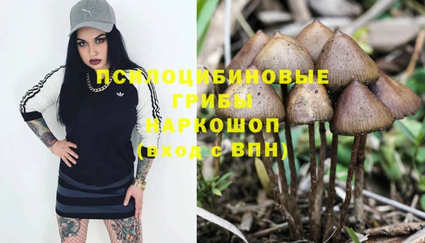 каннабис Аркадак