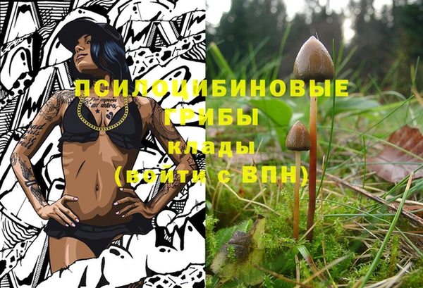 гашик Арсеньев