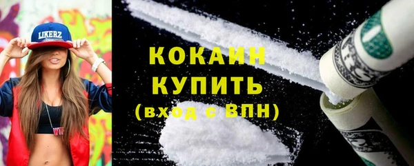 гашик Арсеньев